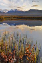 �������ļ�