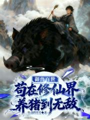 ���ް������������ɽ��������޵�