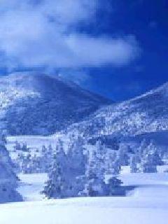 ������֮��֮��42����