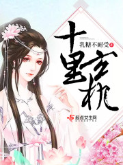 ʮ������