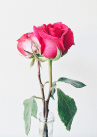 ���������������