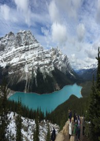 ��������è(GL)