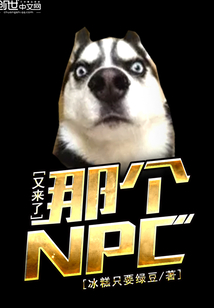 �Ǹ�NPC������