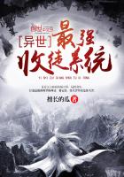 ������ǿ��ͽϵͳ